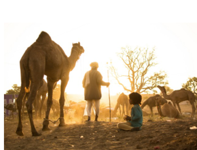 Screenshot_298 Explore Magical Rajastan