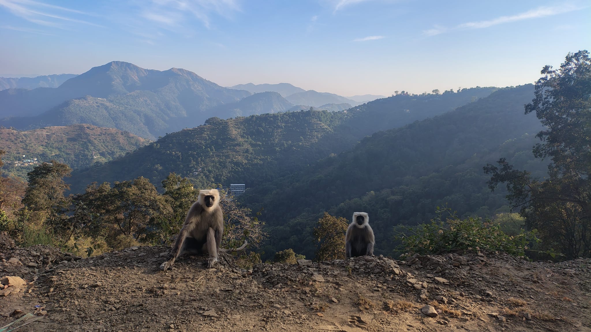 Whatsapp image 2026 01 24 at 15.56.04