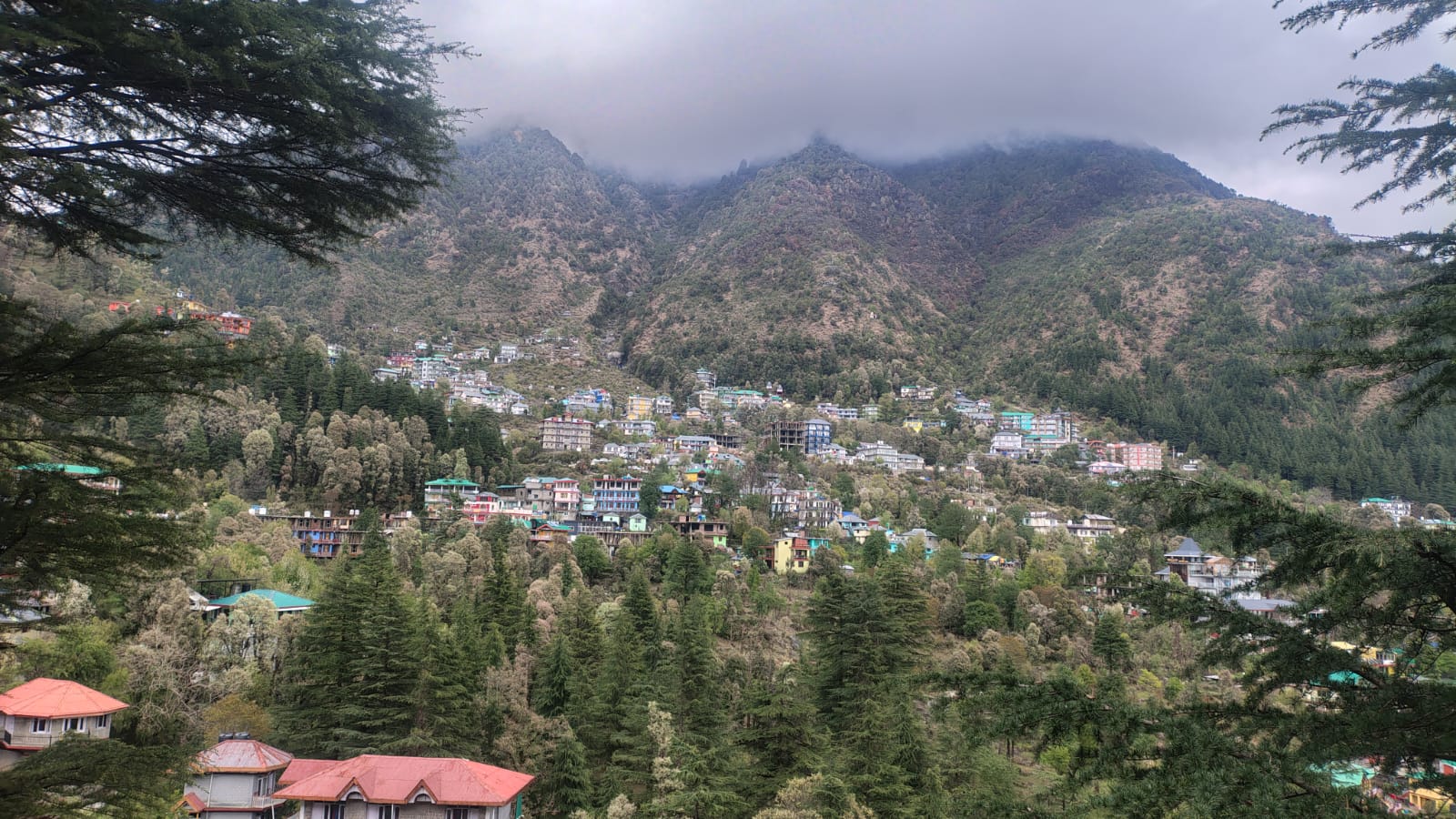 WhatsApp Image 2026 03 23 at 04.08.20