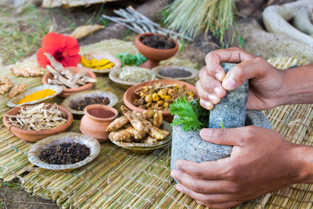 Ayurveda making Ayurveda making