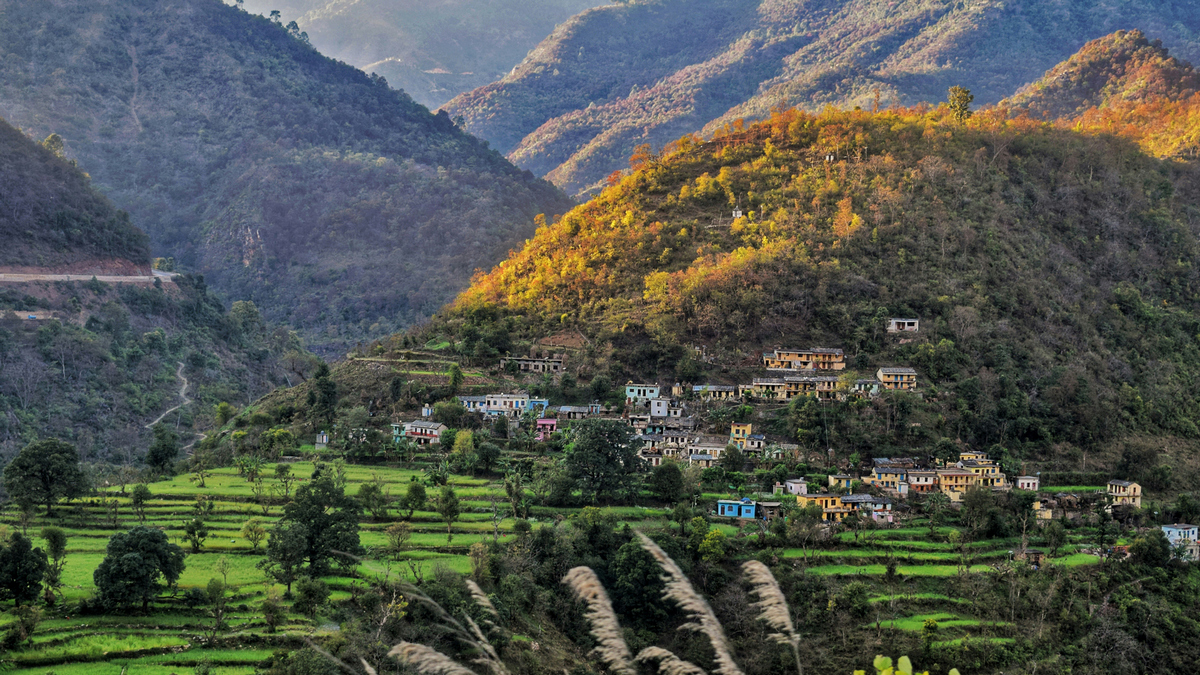 panchakarma_rishikesh00017 Panchakarma Rishikesh00017