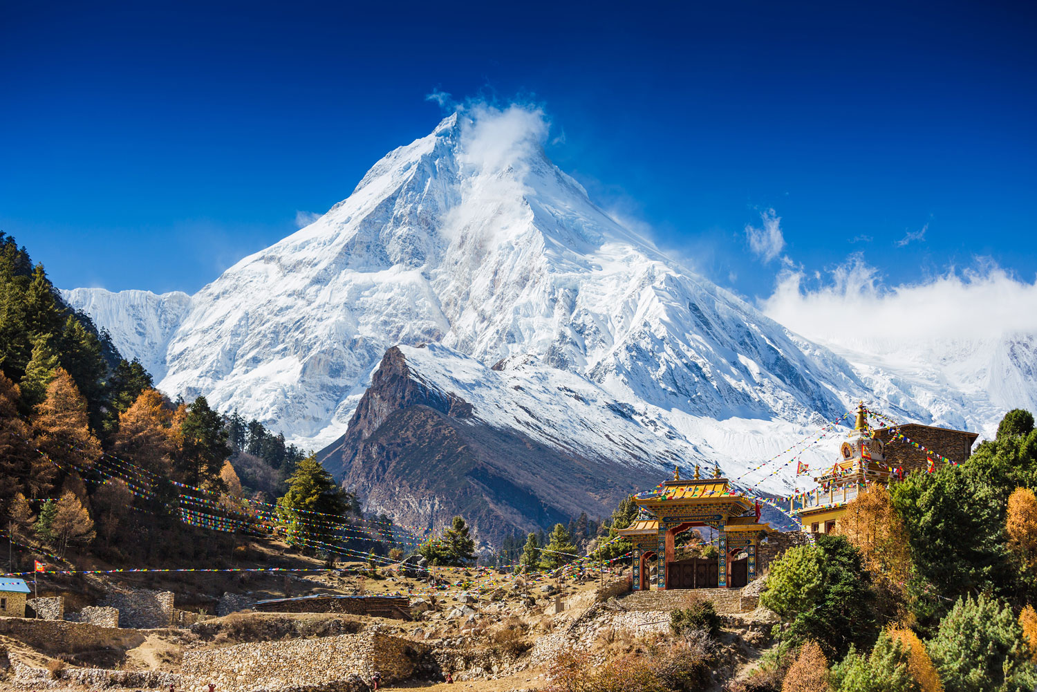 shutterstock_176969939 Shutterstock