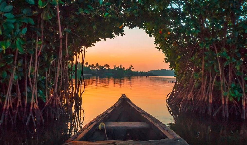 trip Kerala3 Trip Kerala3